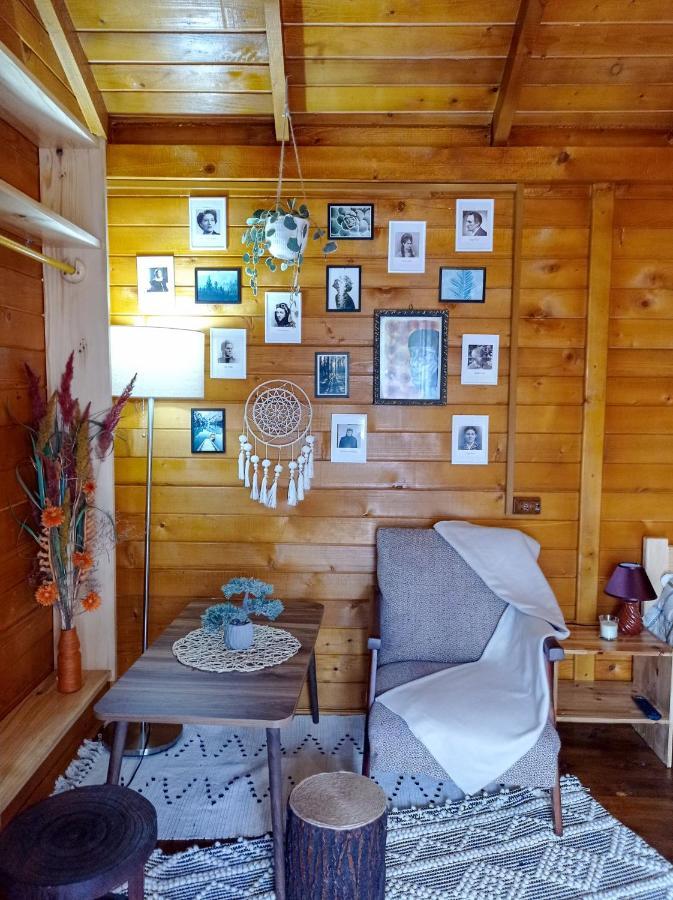 Casa La Agapia Bed and Breakfast Εξωτερικό φωτογραφία