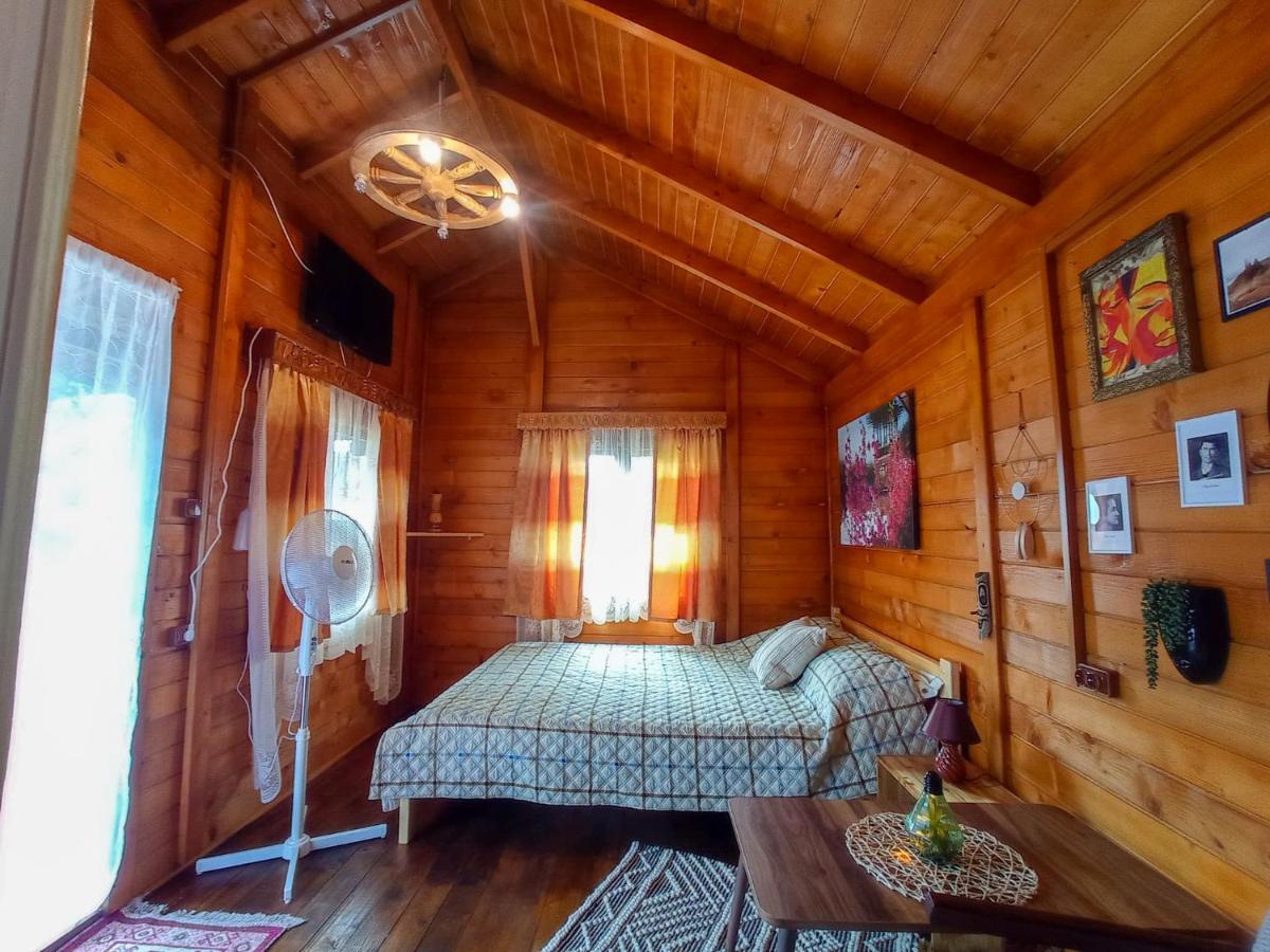 Casa La Agapia Bed and Breakfast Εξωτερικό φωτογραφία